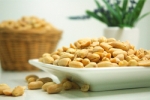 Oral Peanut Immunotherapy is One Step Closer to FDA Approval